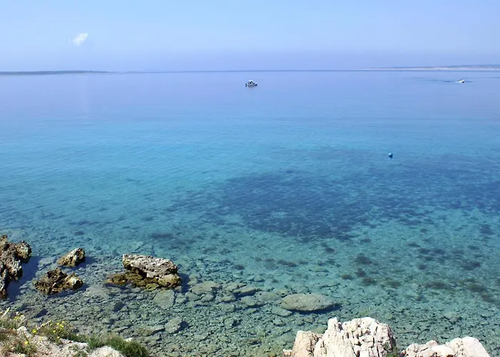 Double Mandre 3557b كولان