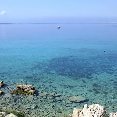 Double Mandre 3557b Kolan